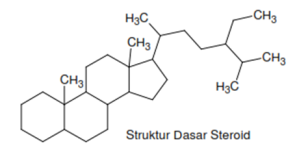 Struktur dasar steroid